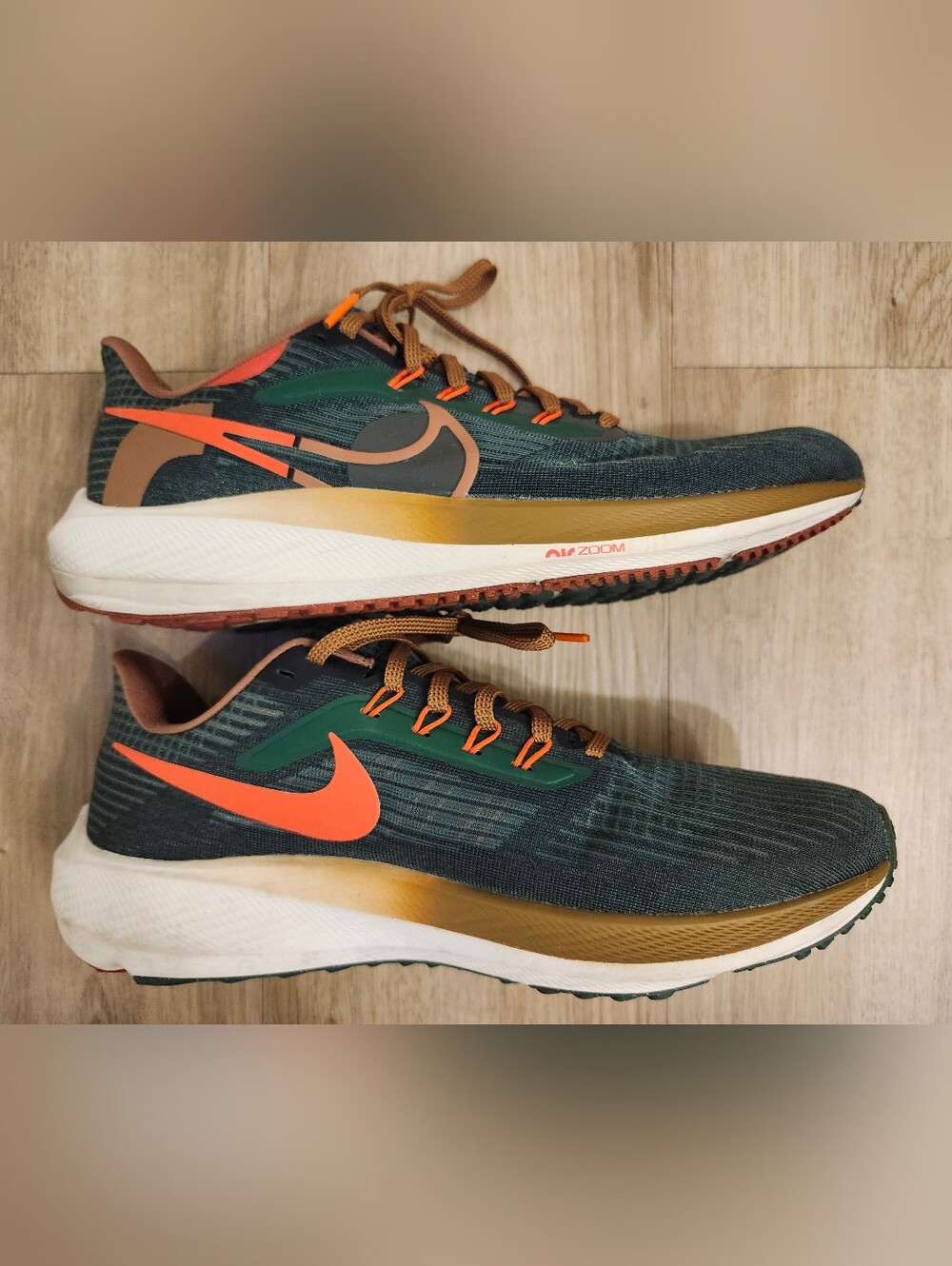 Nike Air Zoom Pegasus 39 X Hola Lou A.I.R Men's Size 10.5 Running Shoes